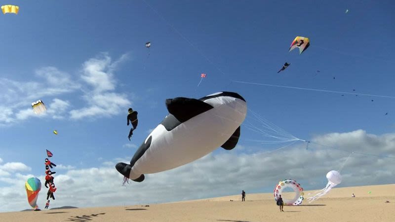 festival de cometas de fuerteventura