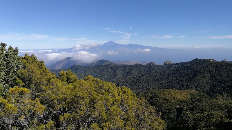 la gomera parque nacional garajonay